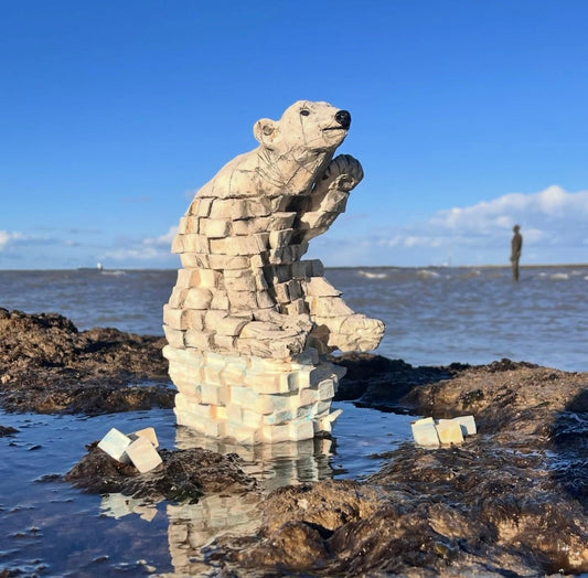 Artist Spotlight: Christophe Donot