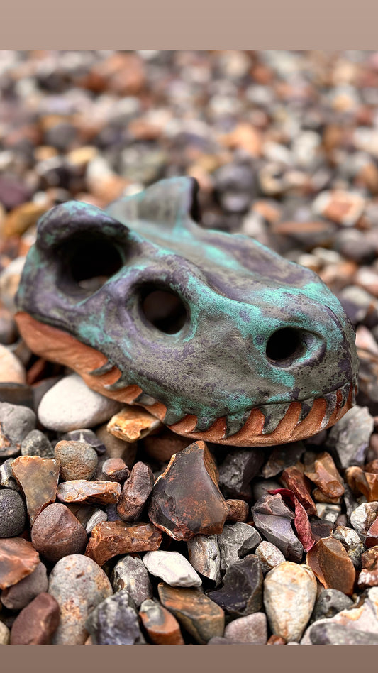 £130 Trex Skull