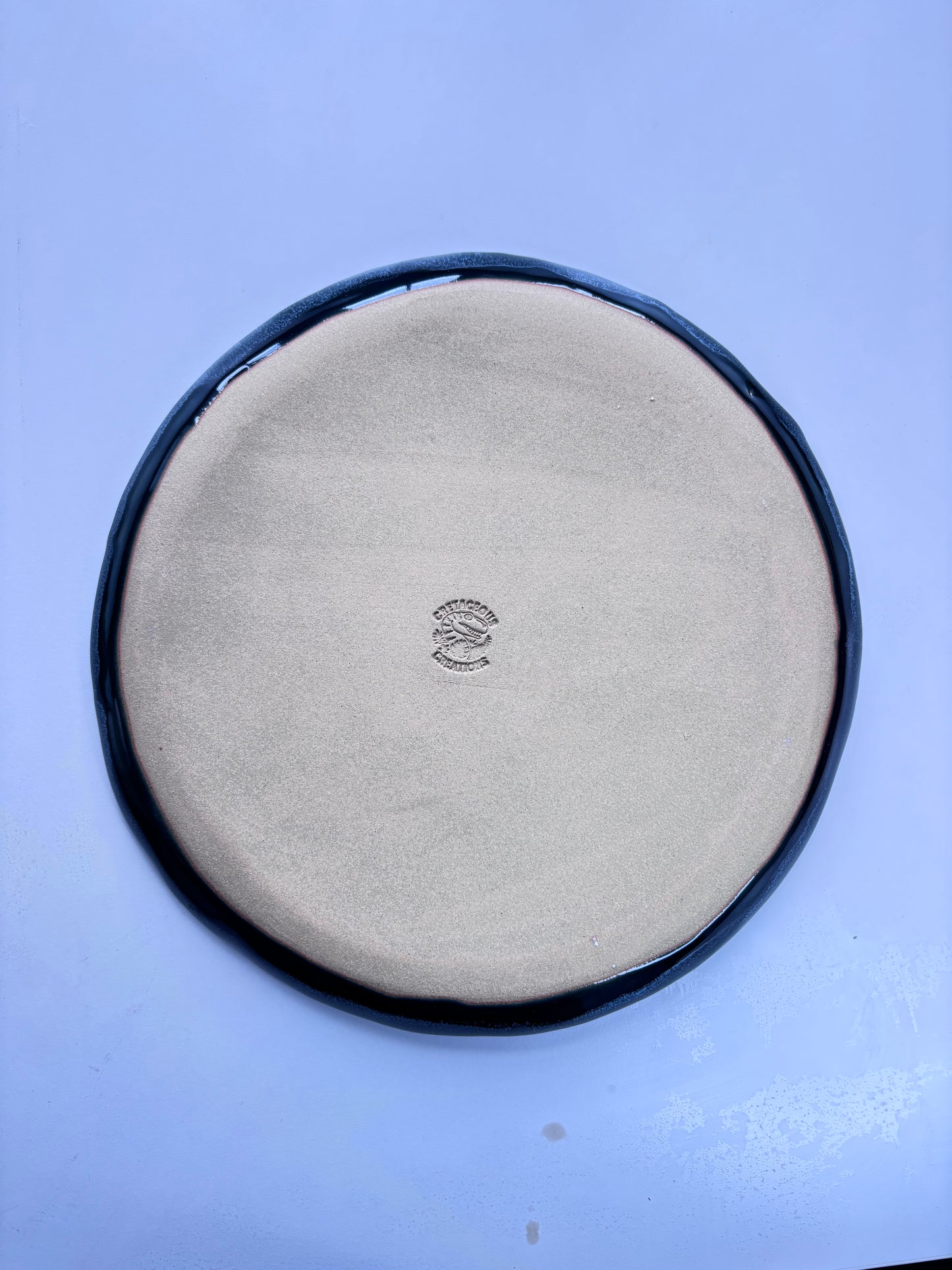 Large Blue Plesiosaur Plate 1